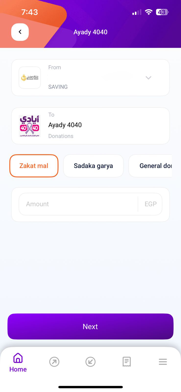 شاشة اختيار نوع التبرع وإدخال المبلغ في إنستاباي